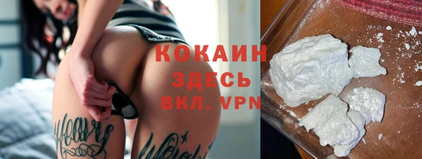 сатива Медвежьегорск