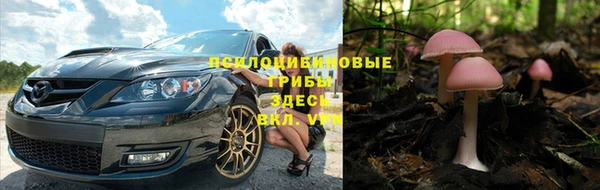 сатива Медвежьегорск