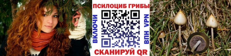 Галлюциногенные грибы мицелий купить наркотик Приморск